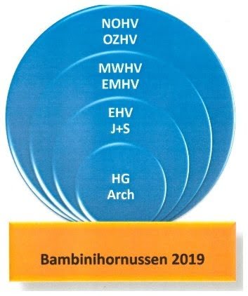Read more about the article Bambinihornussen